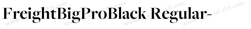 FreightBigProBlack Regular字体转换
